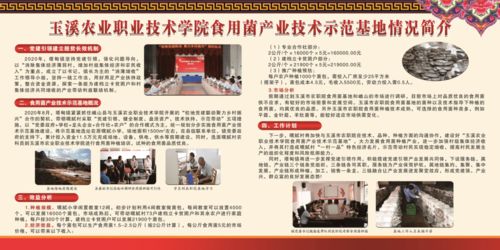 巾幗創業 圓夢玉溪︱玉溪市首屆婦女創業創新大賽優秀項目展示 第一期 技術推廣