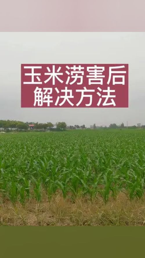 科技興農 新時代農業技術推廣的路徑與價值